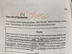 Examples of Lesson Preparation and Adaptation from Teachers at Believe Memphis Academy